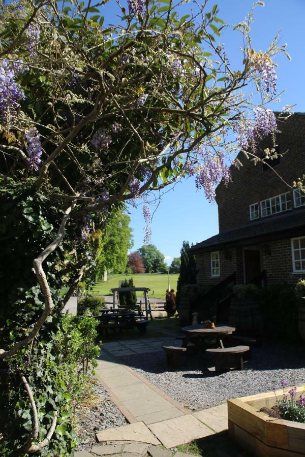 The Red Lion & Cellar Room, Betchworth Bagian luar foto
